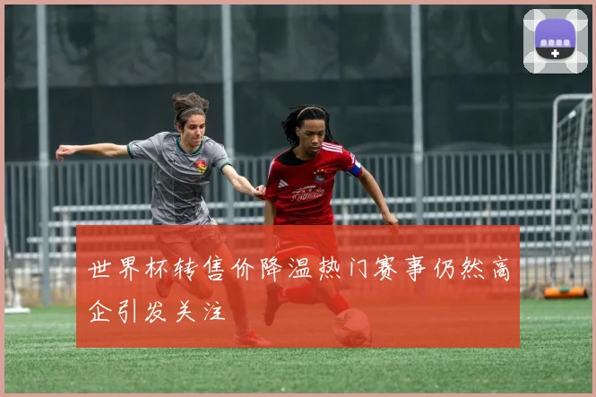 世界杯转售价降温热门赛事仍然高企引发关注