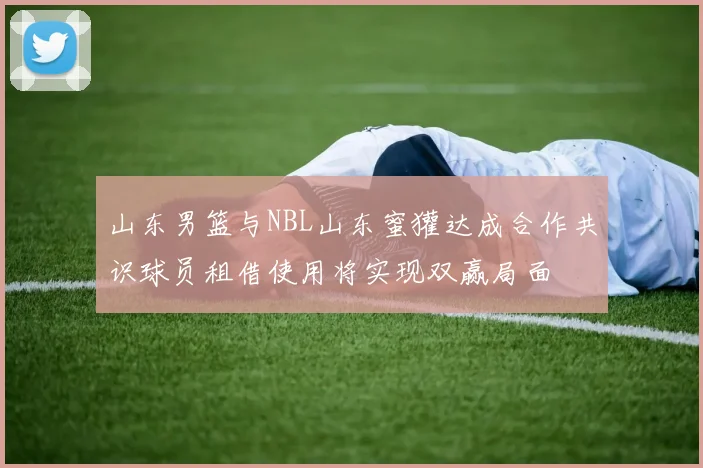 山东男篮与NBL山东蜜獾达成合作共识球员租借使用将实现双赢局面