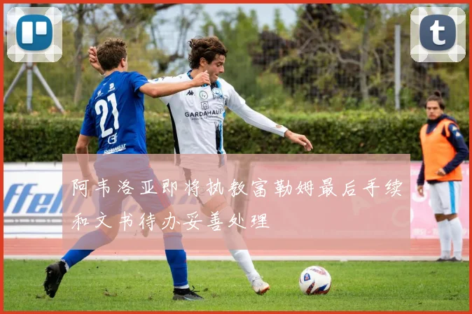 阿韦洛亚即将执教富勒姆最后手续和文书待办妥善处理