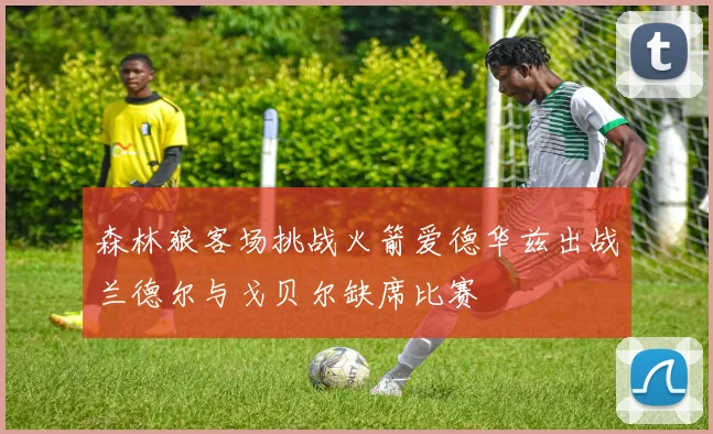 森林狼客场挑战火箭爱德华兹出战兰德尔与戈贝尔缺席比赛